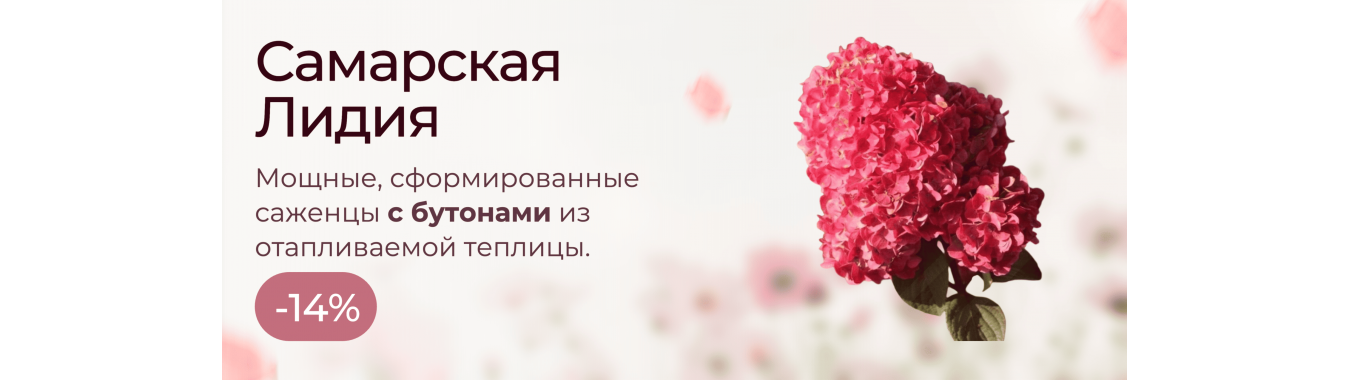 Самарская Лидия
