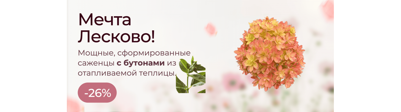 Мечта Лесково